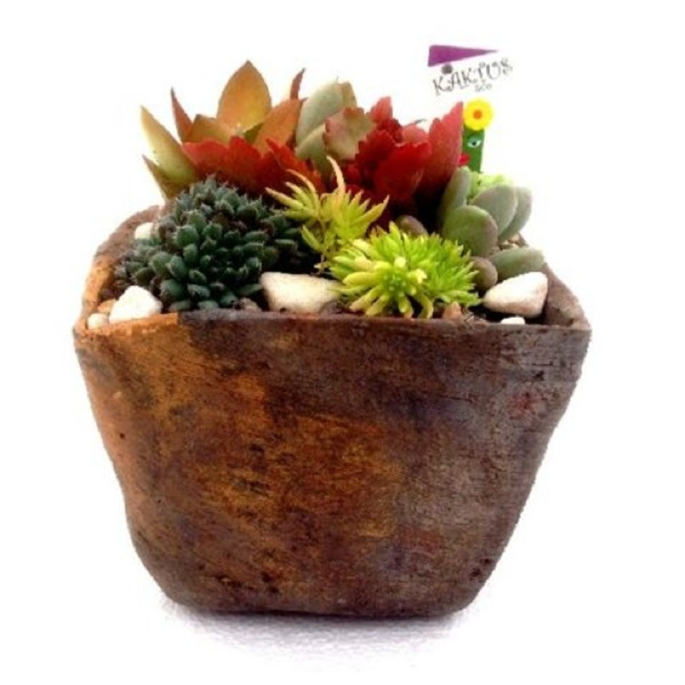 COMPOSICION CRASAS 14X14 PIEDRA