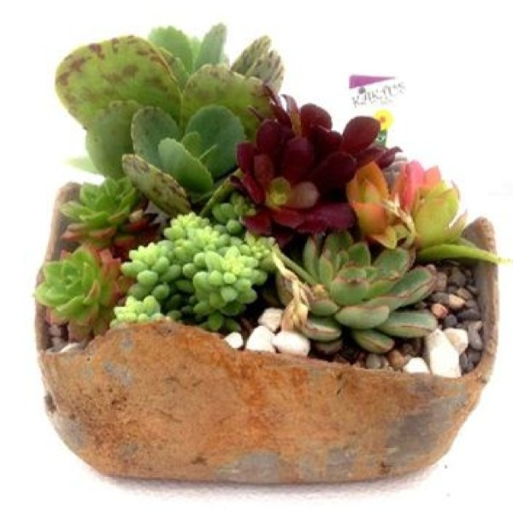 COMPOSICION CRASAS 18X18 PIEDRA
