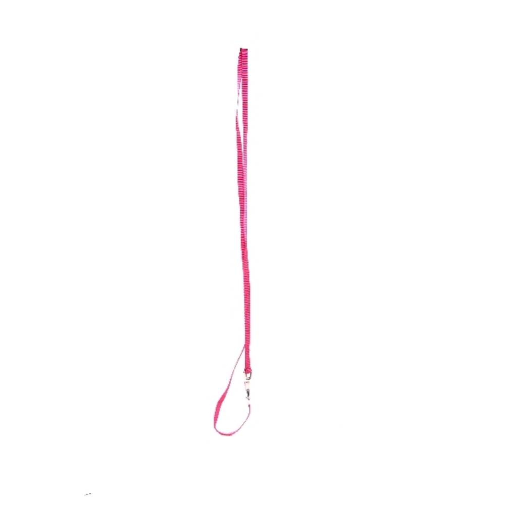 CORREA PERRO 100CM AGUAMARINA
