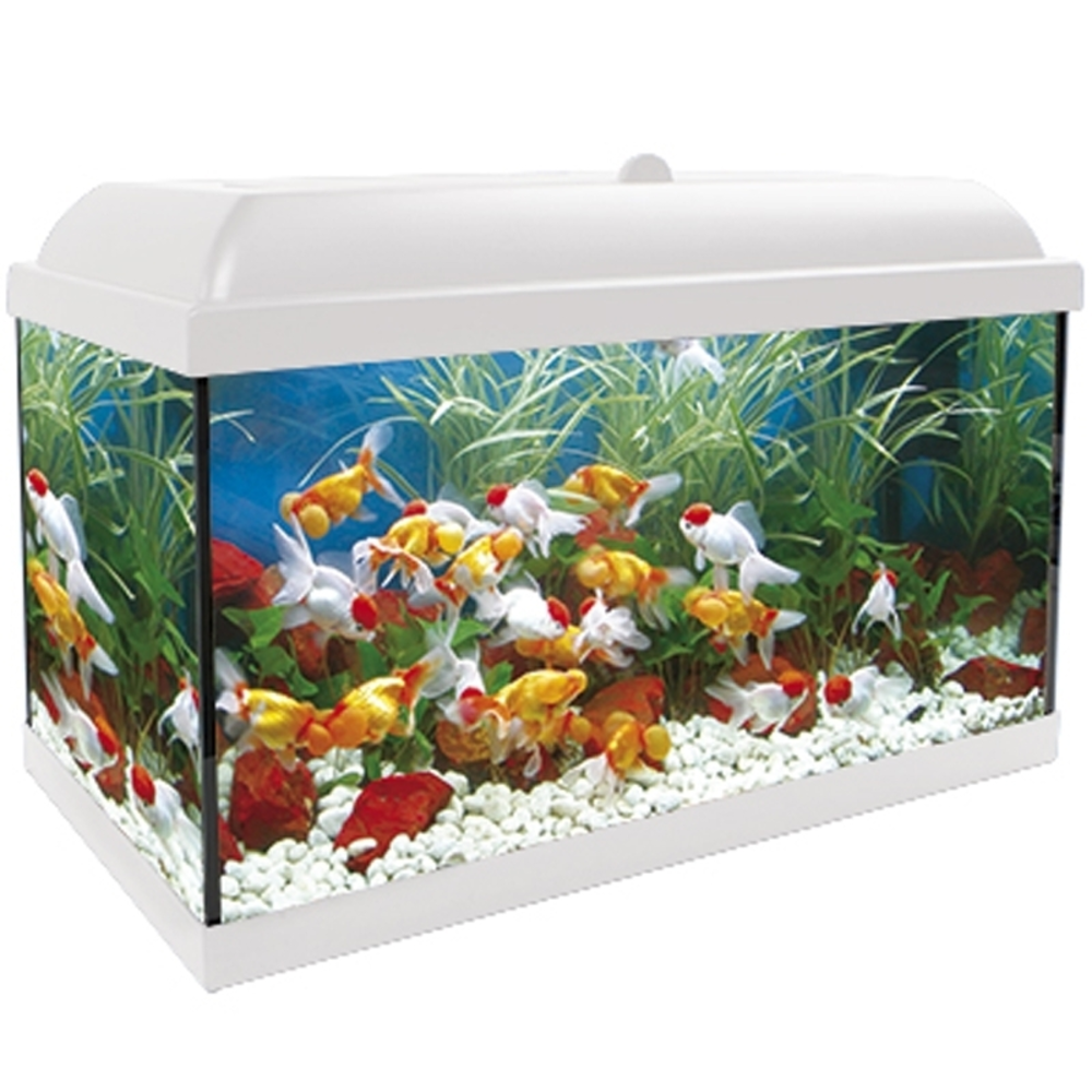 KIT INTERIOR AQUALED 100L BLANCO