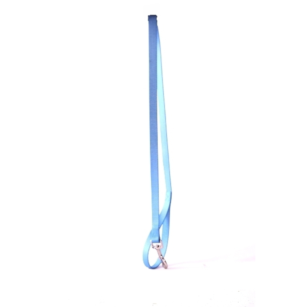 CORREA PERRO 100CM AGUAMARINA