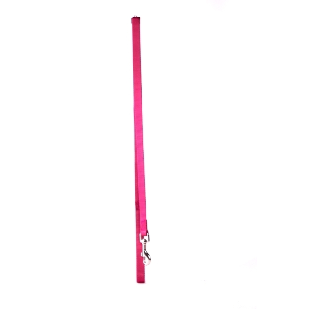 CORREA PERRO 100CM AGUAMARINA
