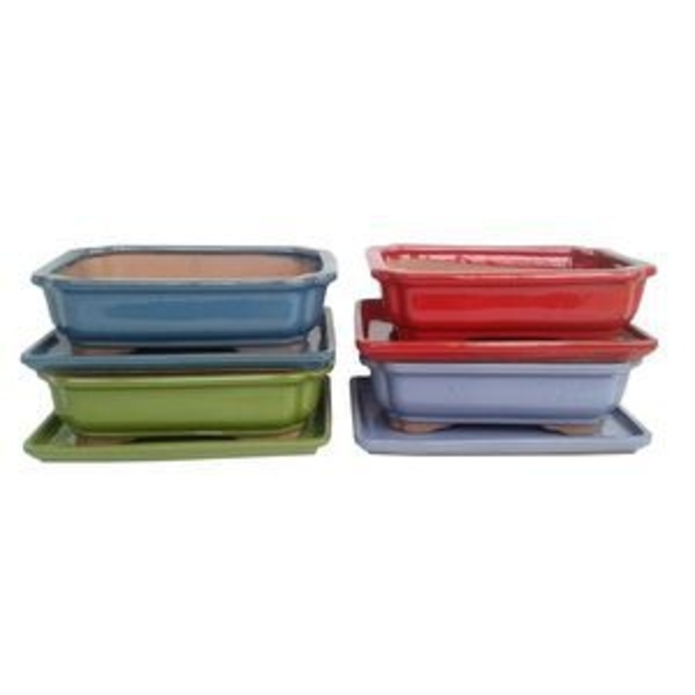 MACETA BONSAI RECTANGULAR + PLATO COLORES 25CM