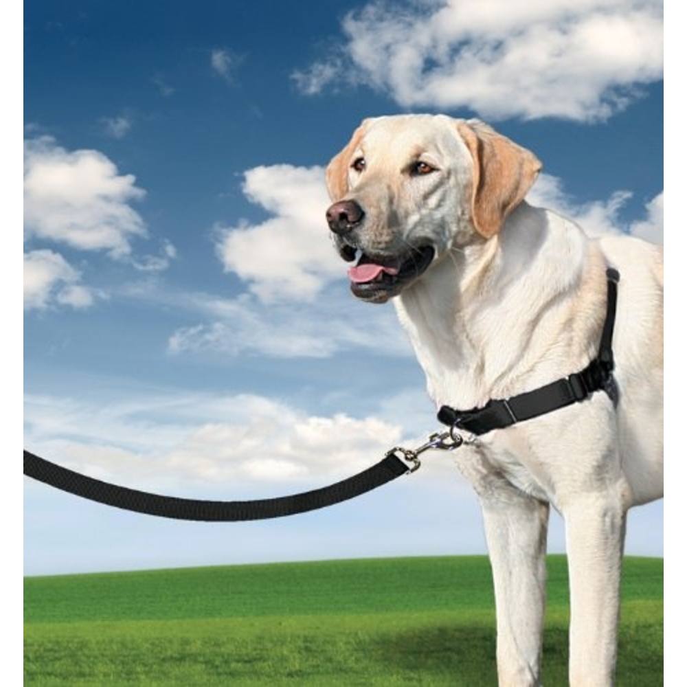EASY WALK ARNES MEDIANO ROJO