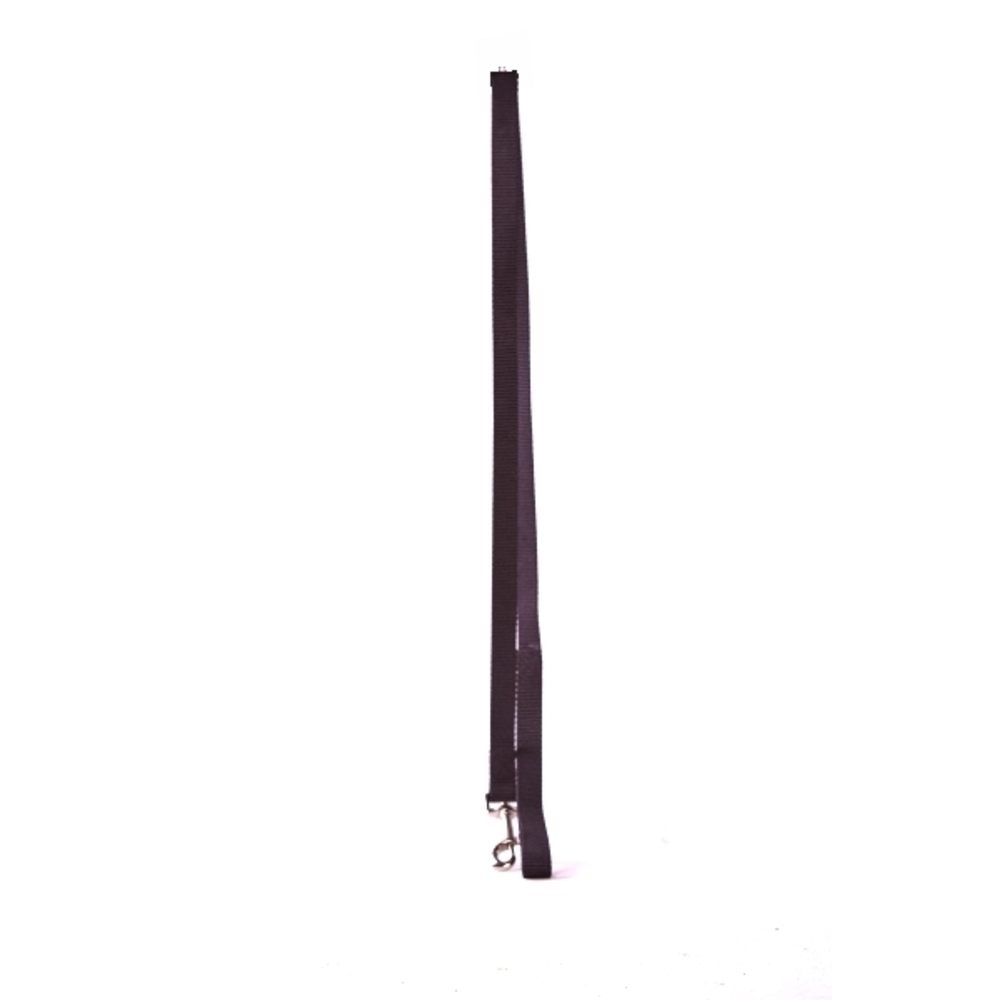 CORREA PERRO 100CM AGUAMARINA
