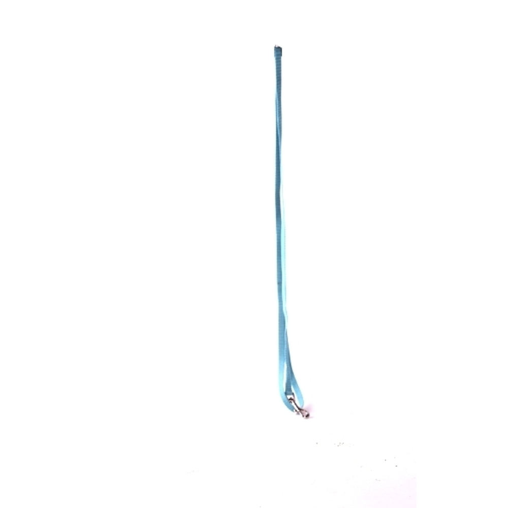 CORREA PERRO 100CM AGUAMARINA