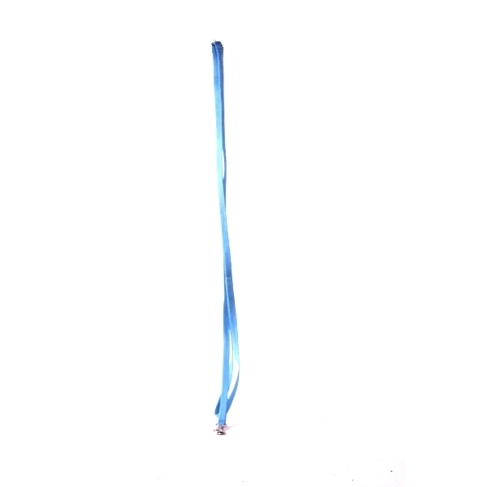 CORREA PERRO 100CM AGUAMARINA