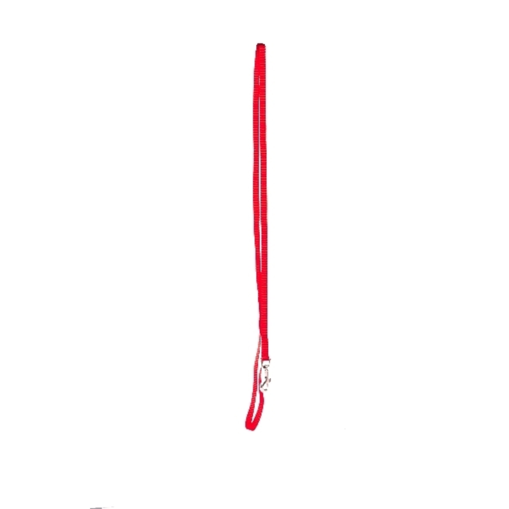 CORREA PERRO 100CM AGUAMARINA