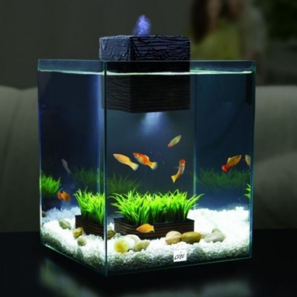 ACUARIO MINI FLUVAL CHI