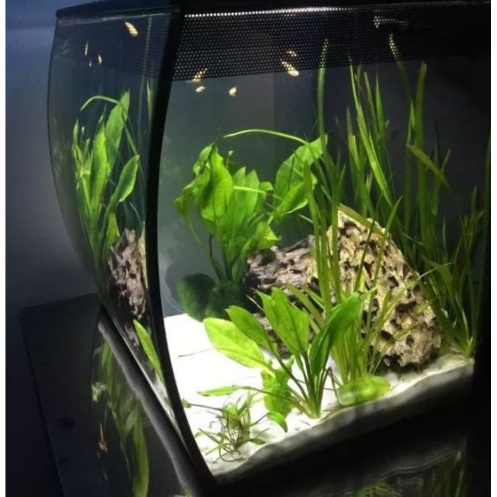 KIT ACUARIO FLUVAL FLEX 57L NEGRO