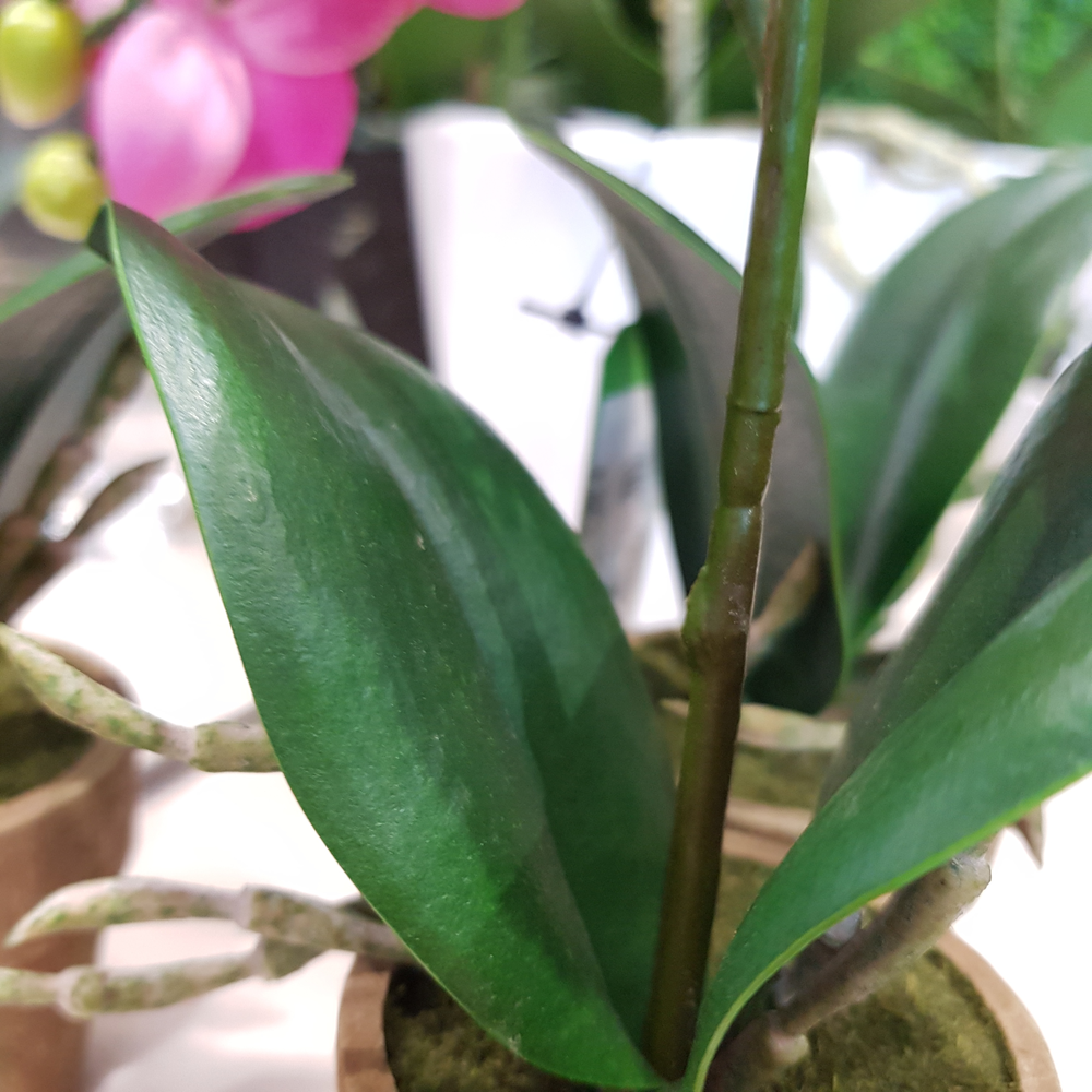 orquidea mini artificial color fucsia altura 25cm