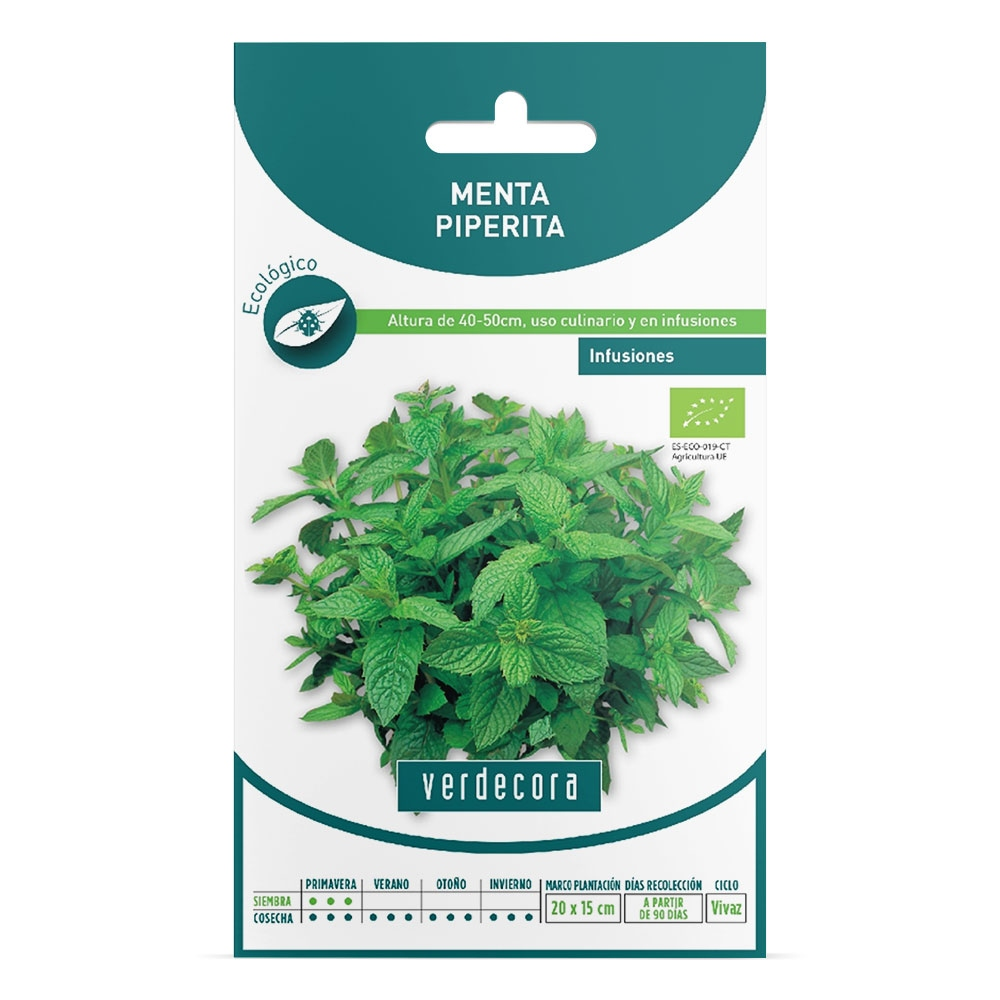 Semillas Ecologicas de menta