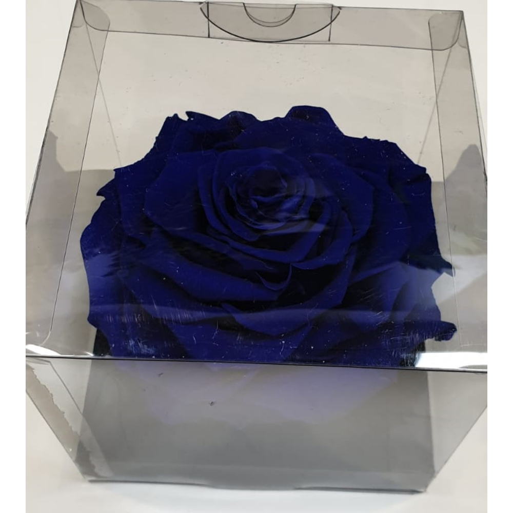 CABEZA ROSA ETERNA 9CM DIÁMETRO