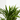 ARECA Maceta diámetro 13cm