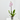 ORQUÍDEA ROSA 1TALLO EN MACETA 12CM.