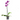 ORQUÍDEA PHALAENOPSIS 1 TALLO MACETA 12CM SURTIDO VARIADO
