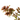 ABELIA Maceta 3 litros