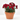 CLAVEL - VARIEDADES SURTIDO Maceta 13cm