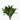DRACENA COMPACTA Maceta 3 litros