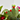 CACTUS DECORADOS CESTA 6 UDS