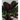 CALATHEA VARIEDADES M-12