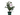 CAMELIA  VARIEDADES 3L