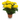 CRISANTEMO TURNER 3L