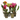 CATTLEYA M-12 1TALLOS