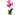 orquidea mini artificial color fucsia altura 25cm