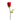 ROSA TALLO 40/50