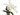 orquidea phalaenopsis multiflora de 4 tallos