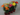 LILIUM ASIATICO M-12