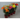 LILIUM ASIATICO M-12