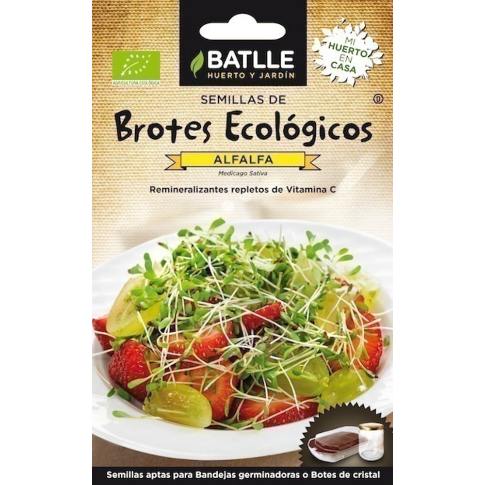 semillas brotes de alfalfa