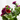 FLORES COMBINADAS MACETA 3 LITROS