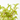 CIRUELO VARIEDADES MACETA 10 LITROS Maceta 10 litros - Extra -