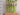lucky bambu bamboo