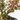 BERBERIS MACETA 15CM