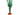 cactus euphorbia ramificada