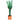 cactus euphorbia ramificada