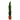 CUPRESSUS TOTEM MACETA 10 LITROS