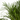 ARECA Maceta 5 litros