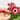 GERBERA EXTERIOR MACETA 12CM Maceta 12cm