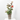 ROSAL MEILLAND MACETA 5L