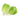 LECHUGA COGOLLO EN MACETA Bandeja 6 Uds