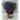 LOBELIA
