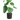 CALATHEA ARTIFICIAL 29CM MACETA