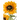 GIRASOL ARTIFICIAL 3 FLORES 62CM TALLO