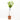 CEREZO 10L RESIDUO  CERO VERDECORA