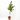 MELOCOTONERO 10L RESIDUO CERO VERDECORA